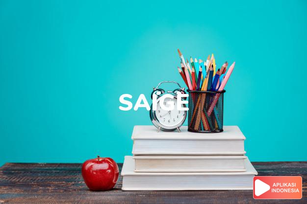 arti nama Saige adalah (Bentuk lain dari Sage) bijaksana