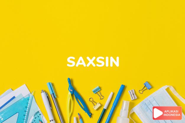 arti nama Saxsin adalah (Bentuk lain dari Saxon) ahli pemain anggar 