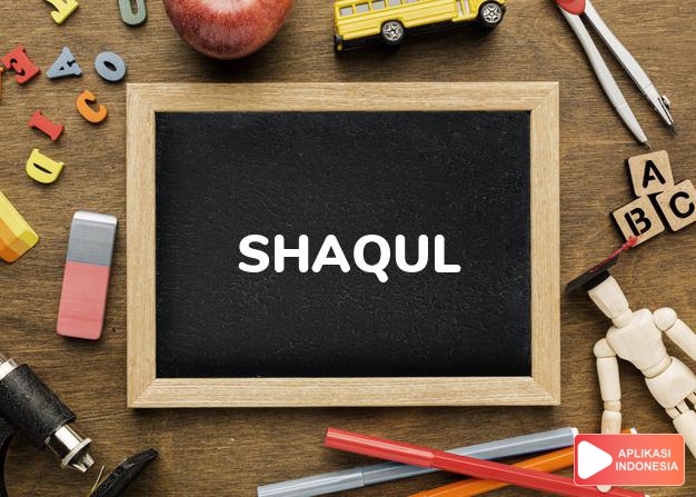 arti nama Shaqul adalah (bentuk lain dari Shaquille) tampan