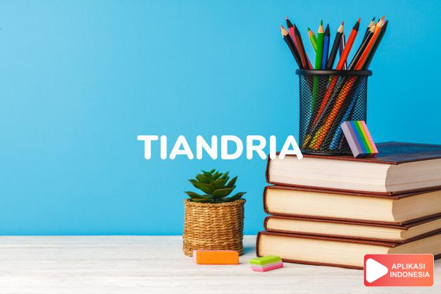 arti nama Tiandria adalah (Bentuk lain dari Tia) Bibi