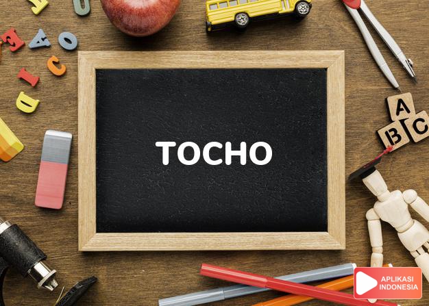 arti nama Tocho adalah Singa (Hopi)