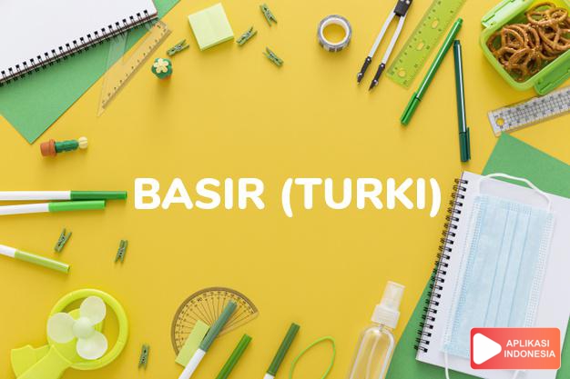 arti nama basir (turki) adalah cerdas, arif, bijaksana
