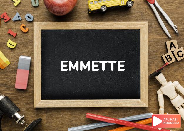arti nama Emmette adalah (Bentuk lain dari Emmett) Orang besar, kuat