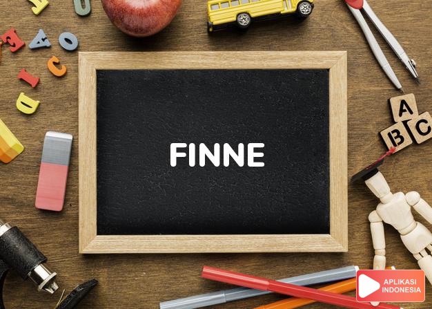arti nama Finne adalah (Bentuk lain dari Finn) Dari Finlandia