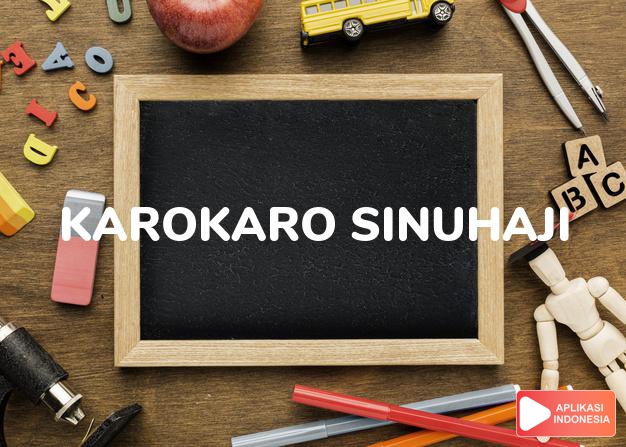 arti nama Karokaro Sinuhaji adalah Marga Dari Karokaro Yang Berada Di Daerah Seberaya.