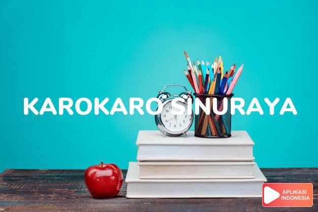 arti nama Karokaro Sinuraya adalah Marga dari karokaro yang berada di daerah Bunuraya, Singgamanik, dan Kandibata.