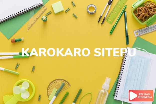 arti nama Karokaro Sitepu adalah Marga Dari Karokaro Yang Berada Di Daerah Naman dan Sukanalu