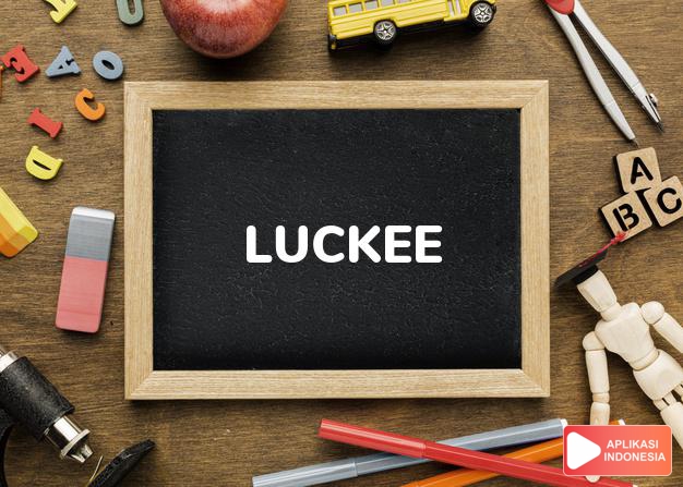 arti nama Luckee adalah (Bentuk lain dari Lucky) Keberuntungan