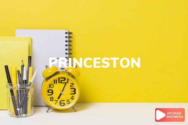 arti nama Princeston adalah (Bentuk lain dari Princeton) Kota yang baik
