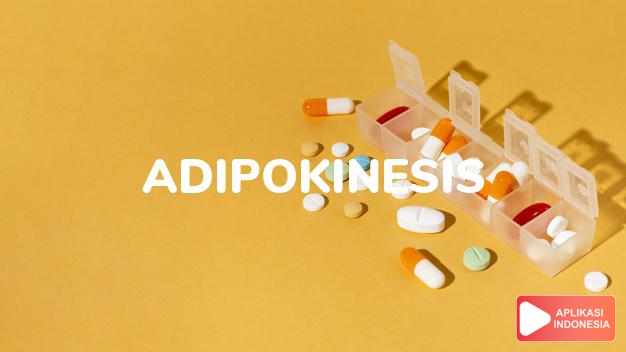 arti adipokinesis adalah Mobilisasi lemak dalam badan. Kata sifat: adipokinetic. dalam kamus farmasi bahasa indonesia online by Aplikasi Indonesia