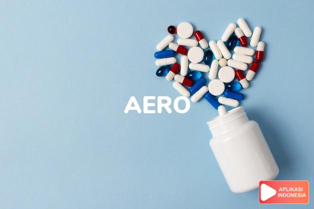 arti aero adalah air; gas (udara, gas). dalam kamus farmasi bahasa indonesia online by Aplikasi Indonesia